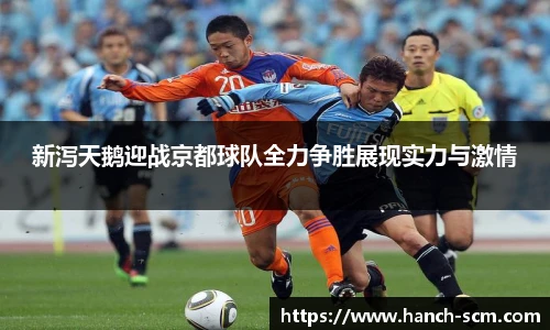 新泻天鹅迎战京都球队全力争胜展现实力与激情
